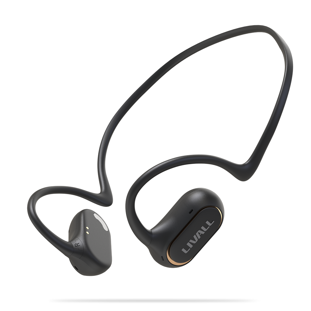 LIVALL LTS21 black communication kit